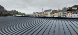 2023-03-27, Belle-Ile Tole Armor (1)
