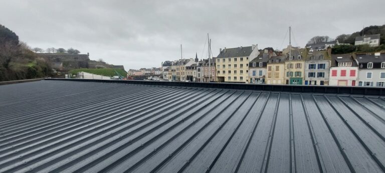 2023-03-27, Belle-Ile Tole Armor (1)